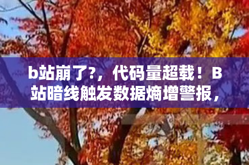 你的每个操作都在让世界头皮发麻图片