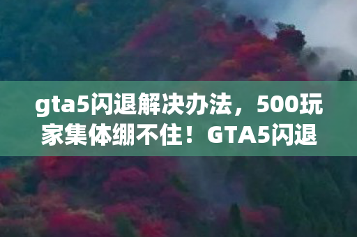 gta5闪退解决办法图片