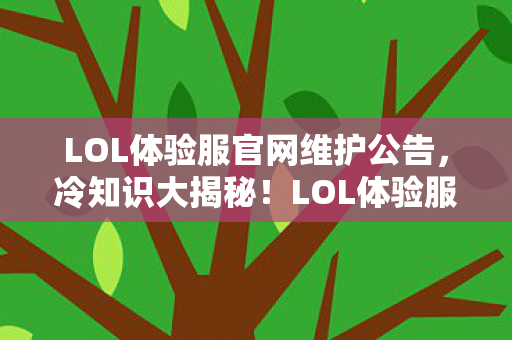 LOL体验服官网维护公告图片