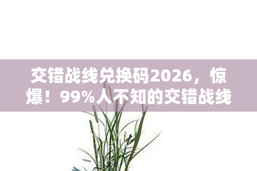 人不知的交错战线兑换码隐藏机制图片