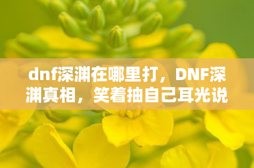 笑着抽自己耳光说退坑图片