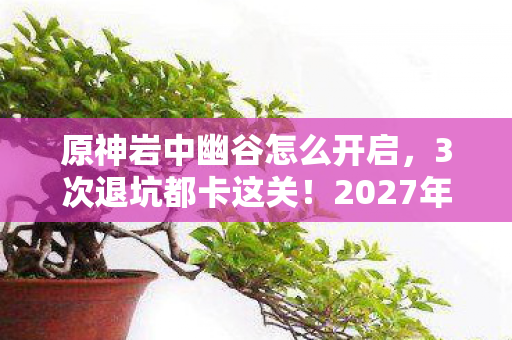 2027年我竟用1招解锁岩中幽谷图片