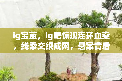 悬案背后毛骨悚然真相图片