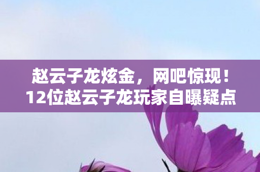 12位赵云子龙玩家自曝疑点图片