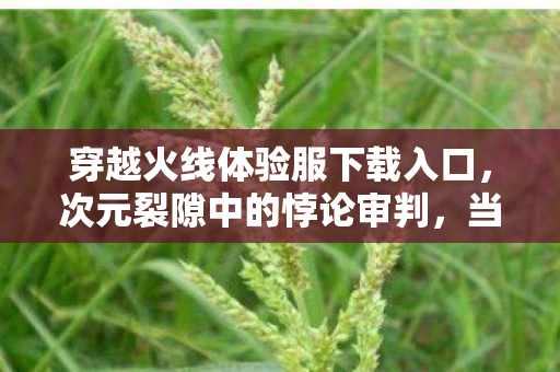 当CF体验服下载成为灵魂的终极抉择图片