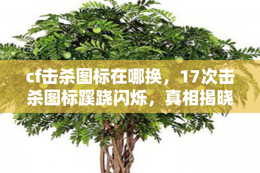 17次击杀图标蹊跷闪烁图片