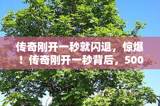 传奇刚开一秒就闪退图片