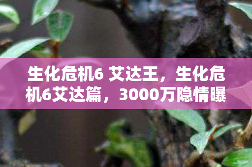 生化危机6 艾达王图片