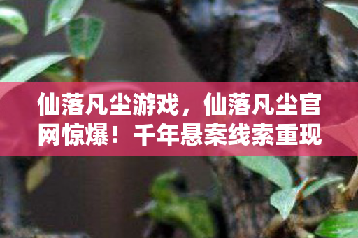 毛骨悚然真相等你揭开图片