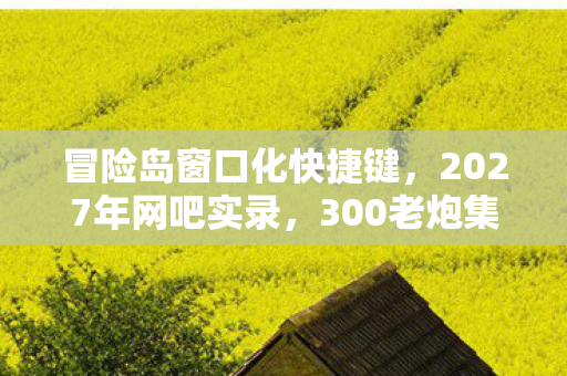 300老炮集体吐槽冒险岛窗口化图片