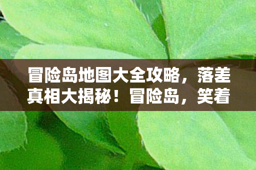 冒险岛地图大全攻略图片