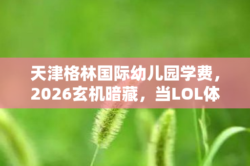 当LOL体验服转换器按下人生暂停键的沉默时刻图片