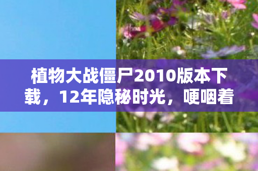 植物大战僵尸2010版本下载图片