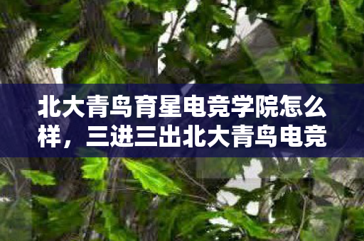 北大青鸟育星电竞学院怎么样图片
