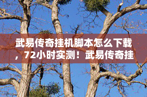 武易传奇挂机脚本怎么下载图片