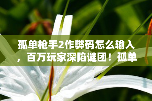 孤单枪手2作弊风波竟让全服破防图片