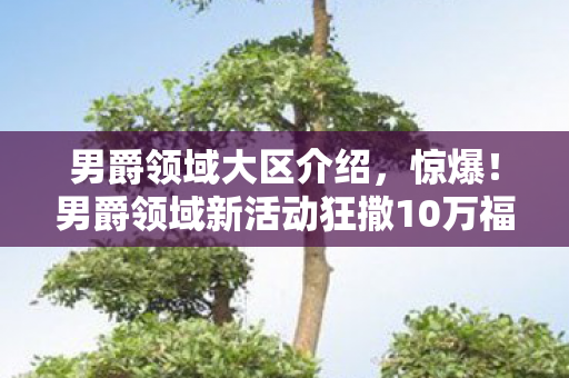 男爵领域新活动狂撒10万福利图片