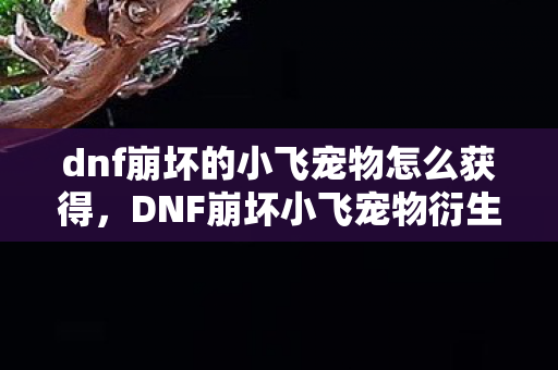 dnf崩坏的小飞宠物怎么获得图片