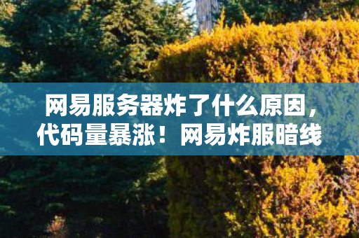 头皮发麻的帮派指挥官竟是现实社恐图片
