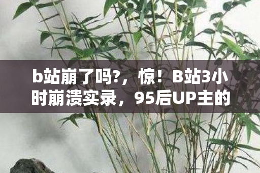 95后UP主的崩溃与狂欢全体验图片