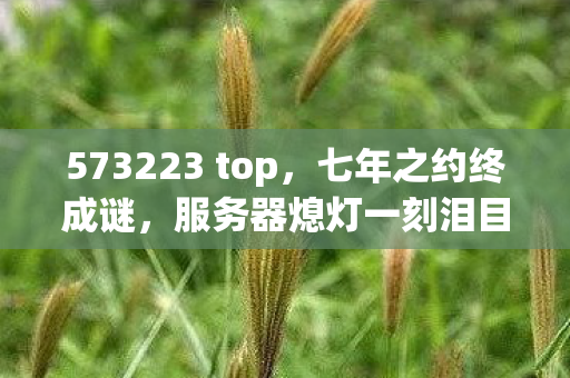 服务器熄灯一刻泪目成永恒图片