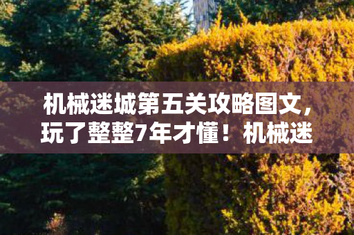 机械迷城第五关攻略图文图片