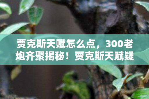 300老炮齐聚揭秘图片