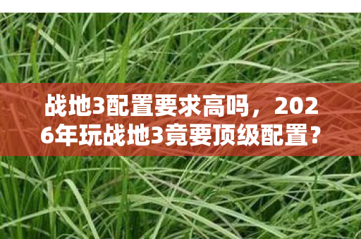 2026年玩战地3竟要顶级配置图片
