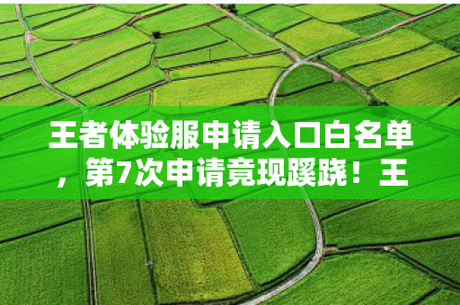 王者体验服申请入口白名单图片