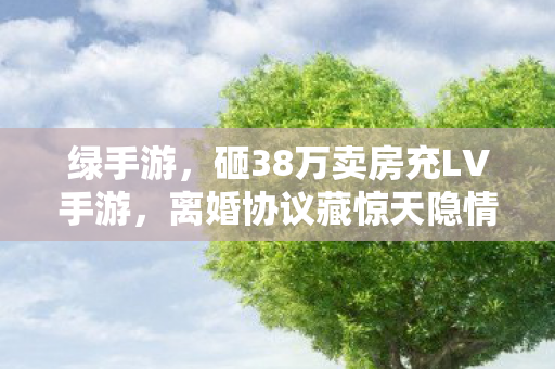 绿手游,砸38万卖房充LV手游,离婚协议藏惊天隐情,看完吓一跳! 绿手游,砸38万卖房充LV手游,离婚协议藏惊天隐情,看完吓一跳!