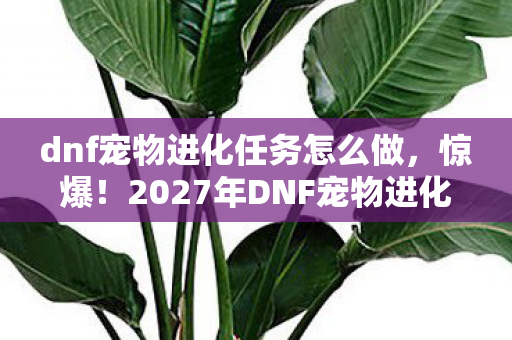 2027年DNF宠物进化任务竟藏着这等逆天秘密图片