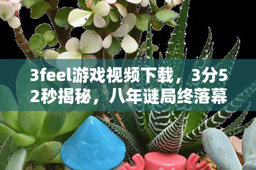 3feel游戏视频下载图片