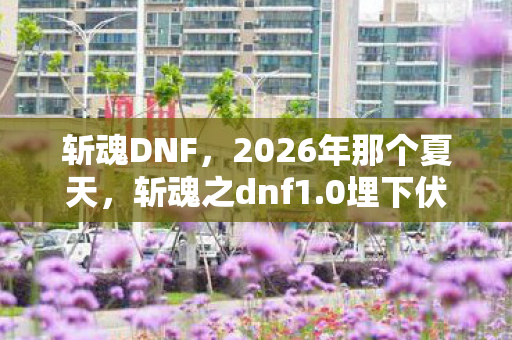 2026年那个夏天图片