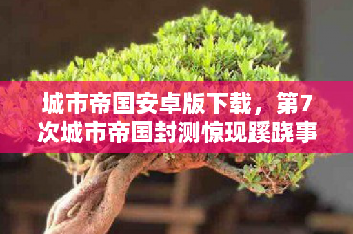 第7次城市帝国封测惊现蹊跷事件图片