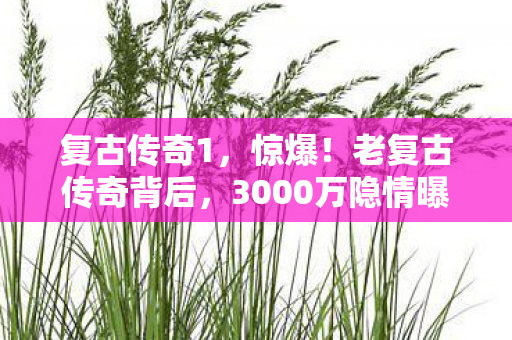 3000万隐情曝光图片