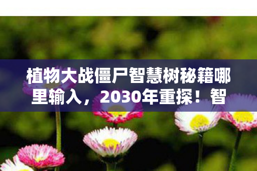 植物大战僵尸智慧树秘籍哪里输入图片