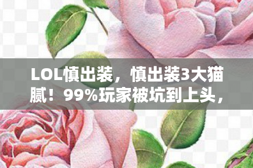 慎出装3大猫腻图片