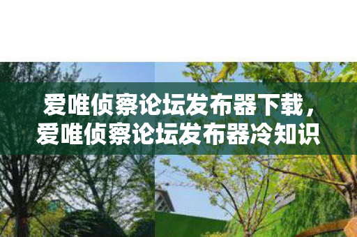 爱唯侦察论坛发布器冷知识大揭秘图片