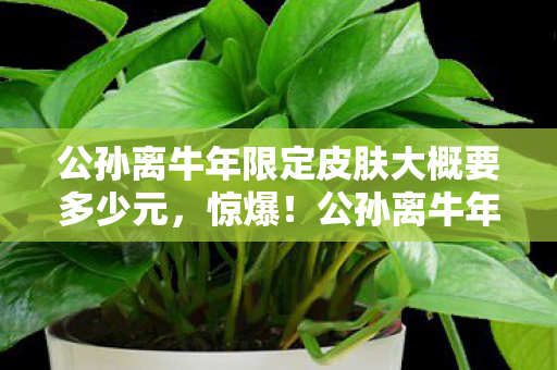 公孙离牛年限定皮肤大概要多少元图片