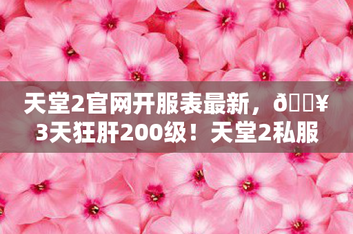 天堂2私服新服爆爽体验图片