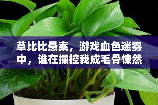 谁在操控我成毛骨悚然凶手图片