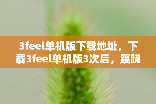 下载3feel单机版3次后图片