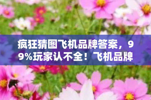 飞机品牌猜谜王竟是失业机长图片