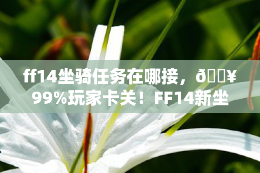 FF14新坐骑任务竟藏惊天反转图片