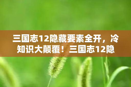 三国志12隐藏要素竟让我目瞪口呆十年图片