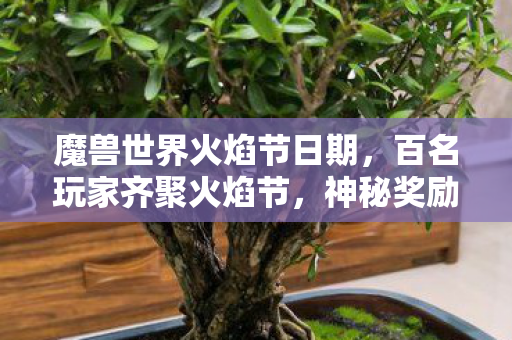 魔兽世界火焰节日期图片
