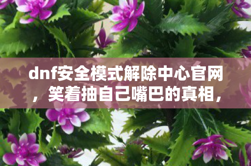 dnf安全模式解除中心官网图片