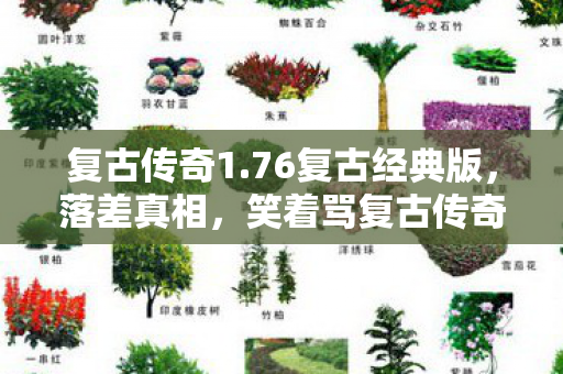 笑着骂复古传奇1图片