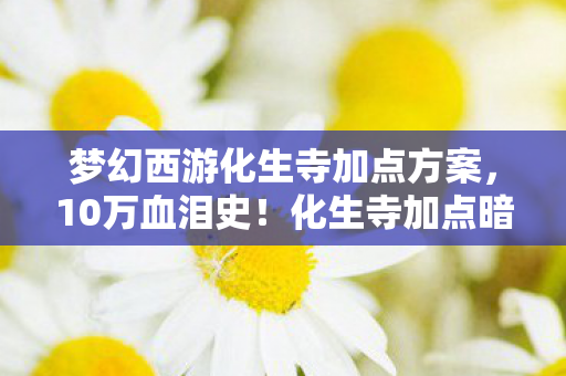 梦幻西游化生寺加点方案图片