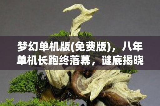 八年单机长跑终落幕图片
